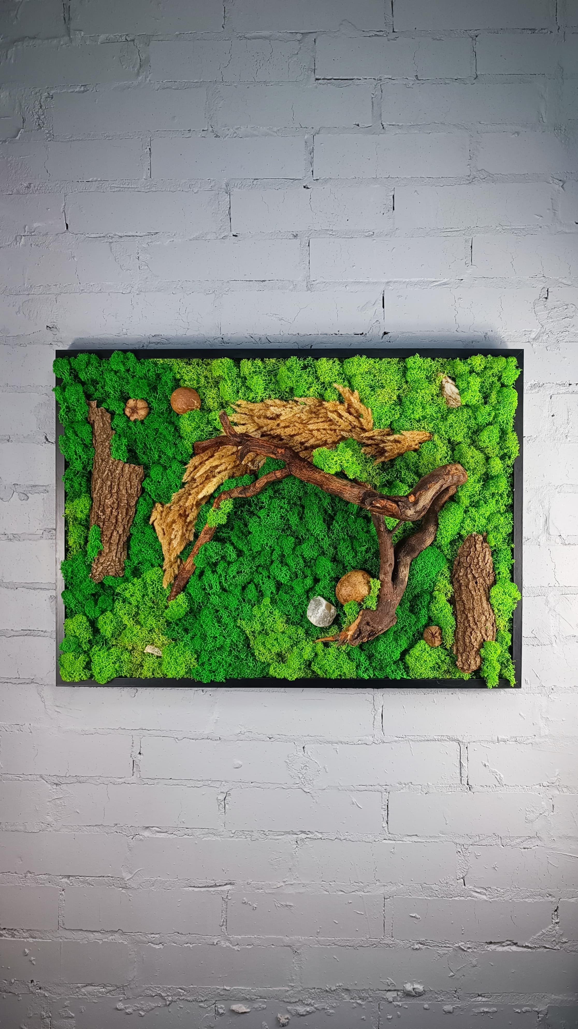 фитокартина Gangarium из мха в черной раме 50*70 