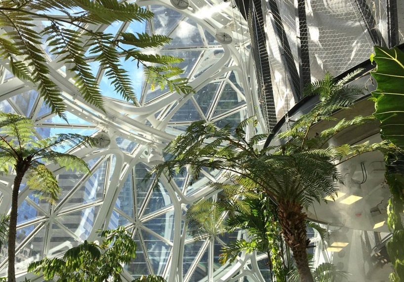 Amazon Spheres (Сиэтл, США) остекление