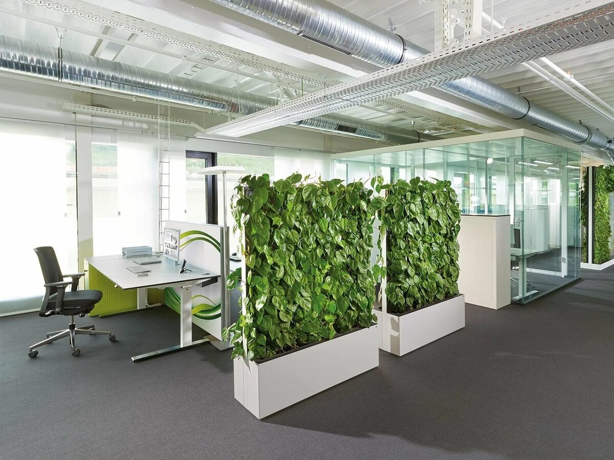 "Зеленый офис" Deloitte (Амстердам, Нидерланды) фитостена в офисе