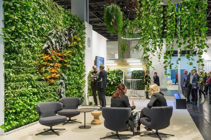 "Зеленый офис" Deloitte (Амстердам, Нидерланды) озеленение переговорной комнаты