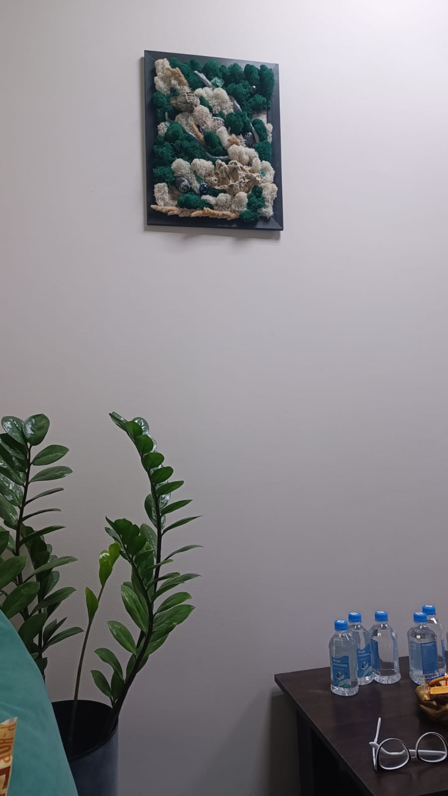 Картина из мха в кабинет врача